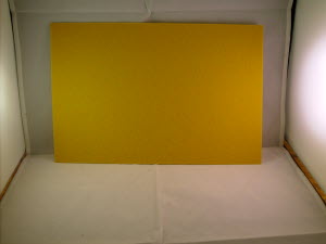 0018607