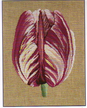 0030151