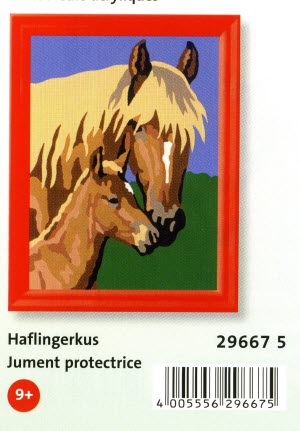 0036137