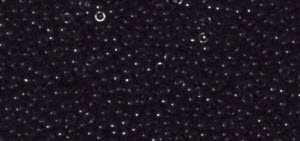 0044379