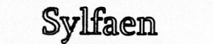 Lettertype gravure (zie voorbeeld): Sylfaen